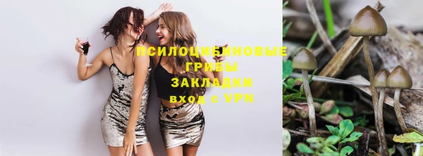 хмурый Богданович