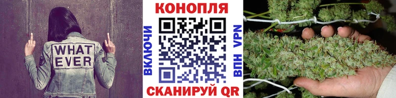 Шишки марихуана AK-47  Купить закладки  Краснознаменск 